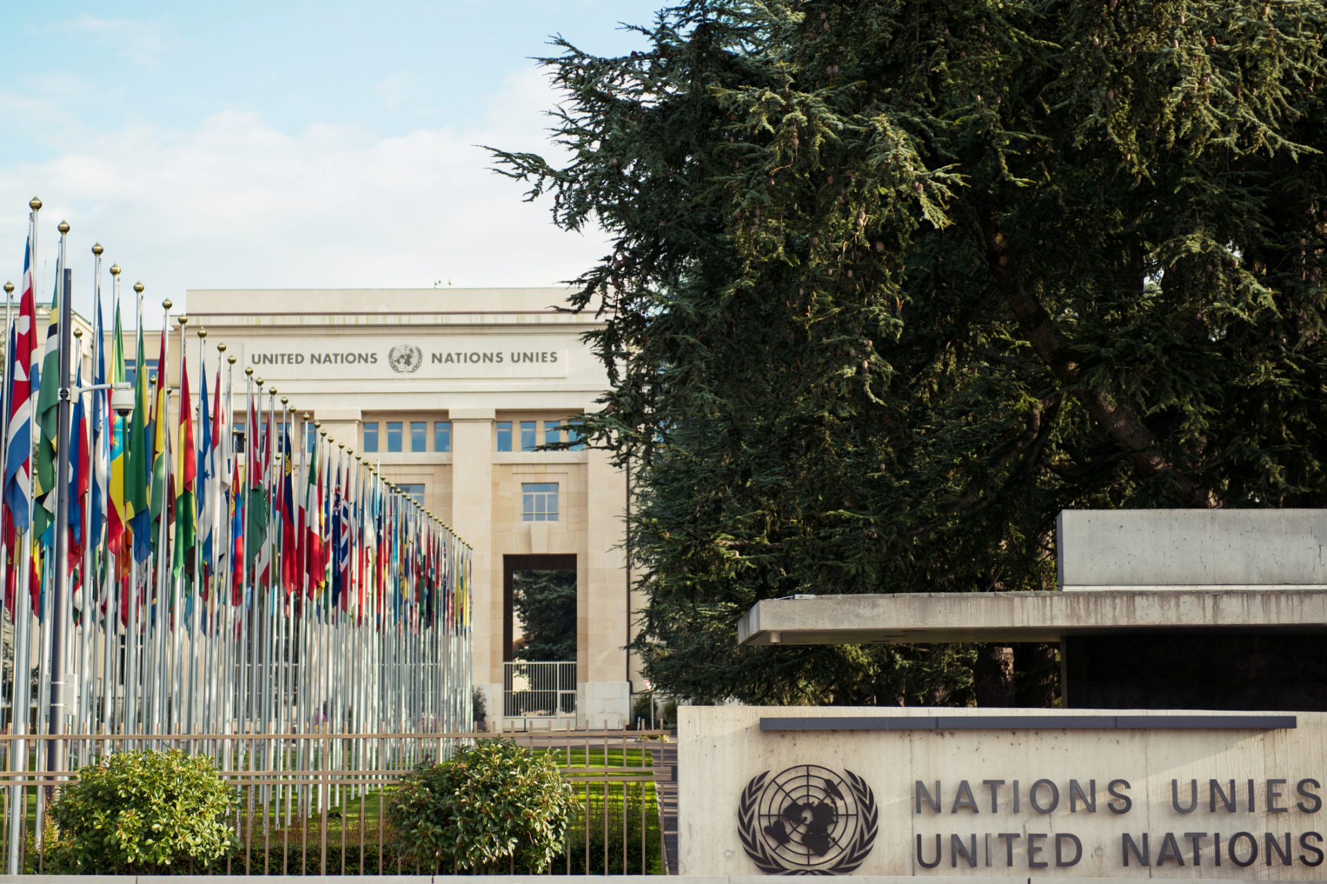4. Miembros y personal de misión de la Sede de las Naciones Unidas