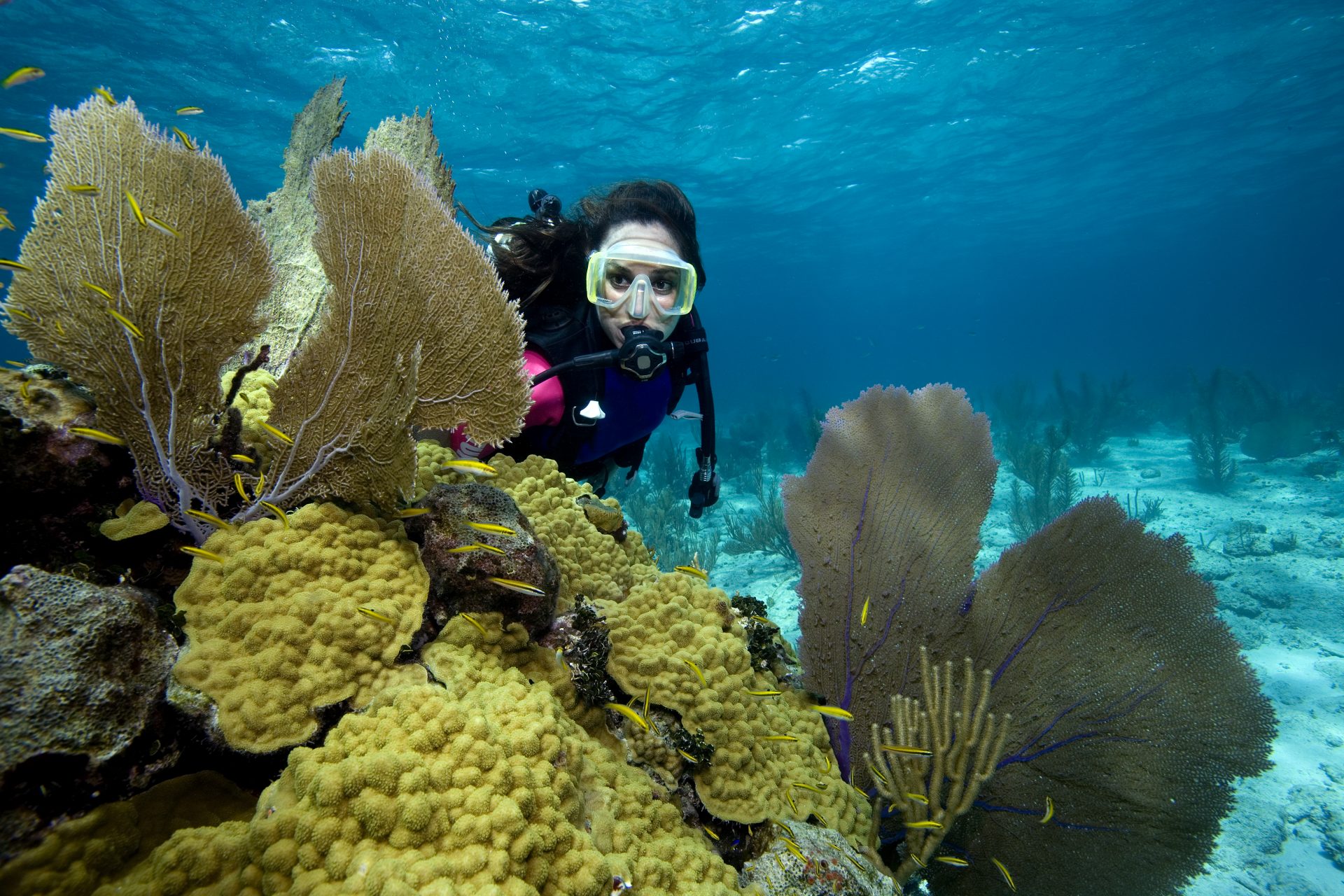 Los mejores lugares del mundo para hacer submarinismo