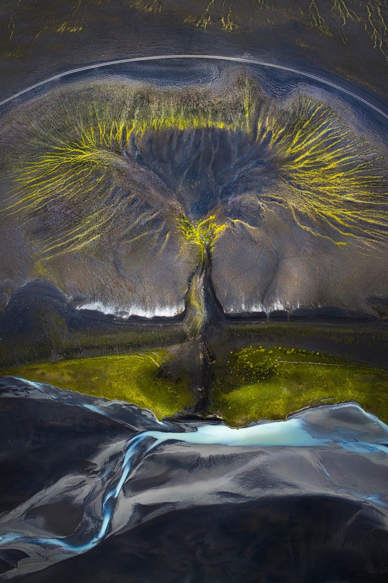 “Tree of life” di Isabella T a b a c c hi (Categoria: Natura)