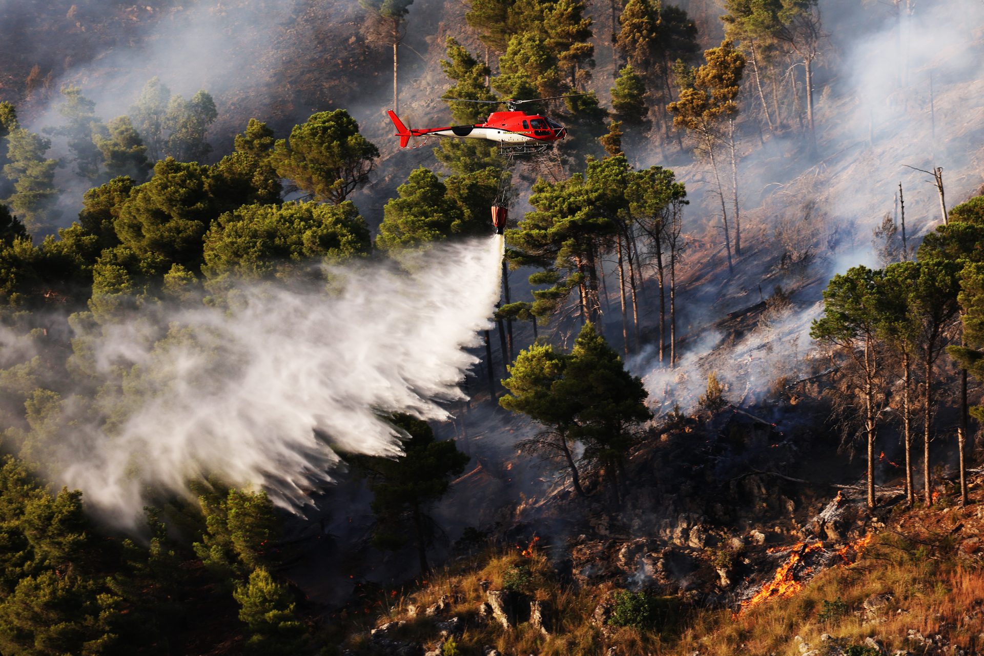 Vários incêndios florestais em 2023