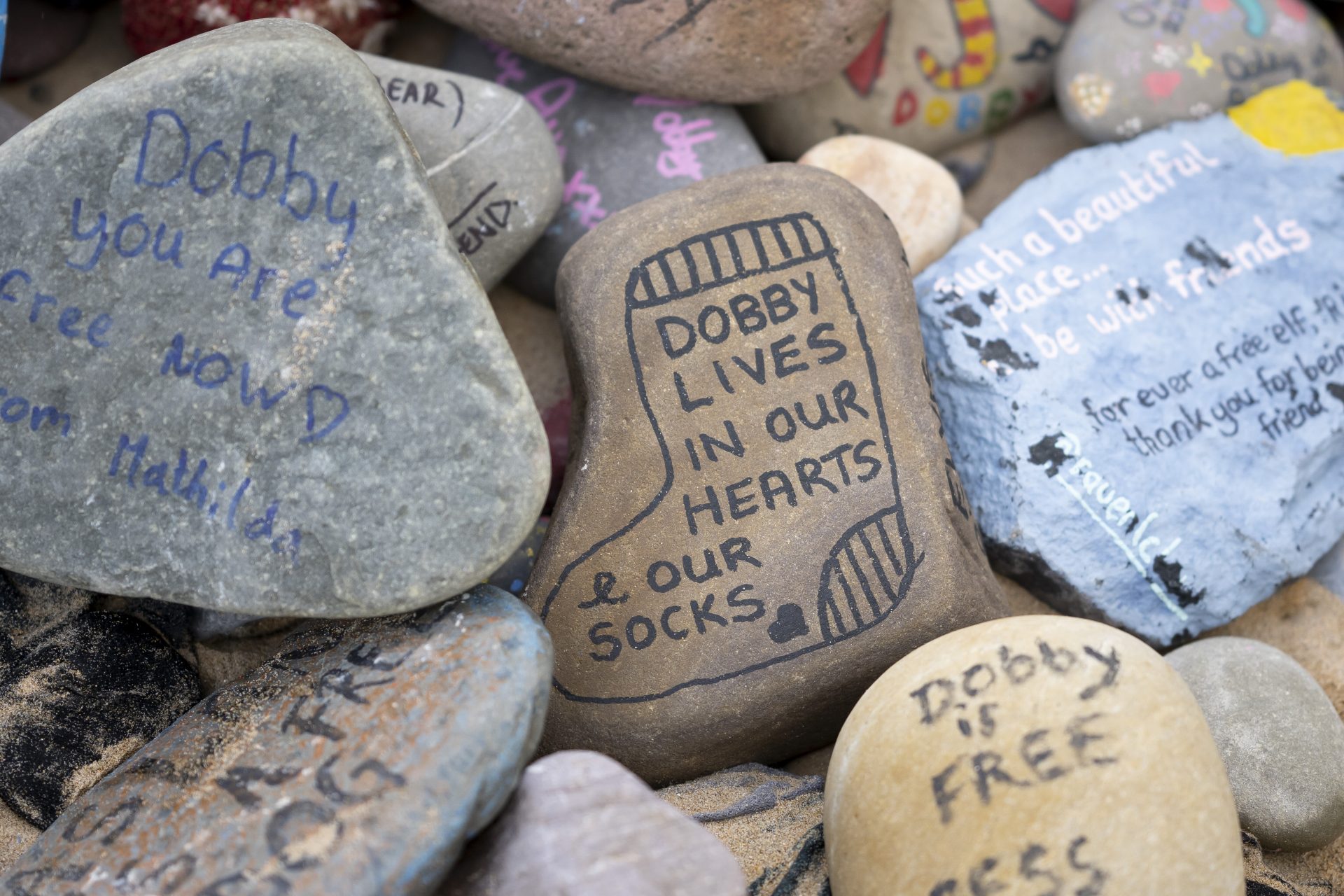 Painted Socks and Rocks, Toxic to Wildlife