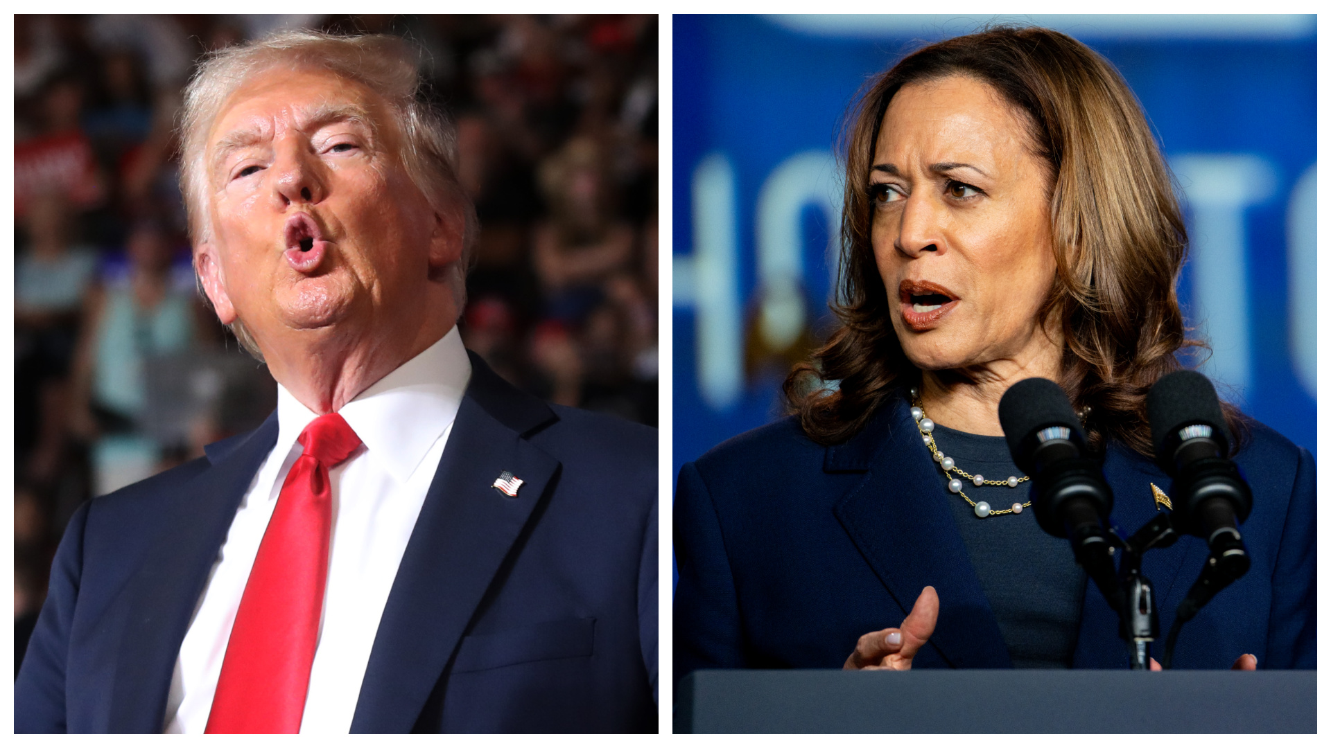 Kamala's race under question