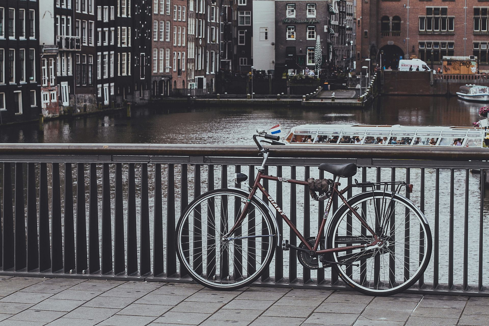 Les Hollandais amateurs de vélo