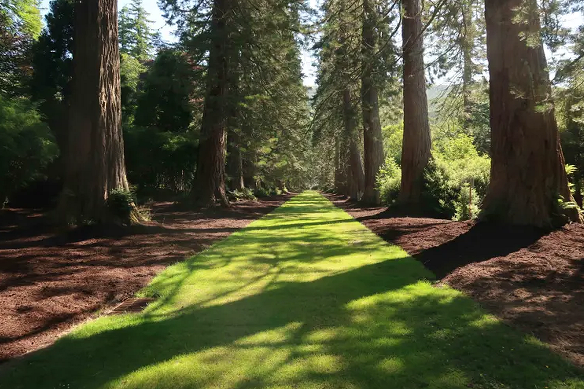 Le Benmore Botanic Garden