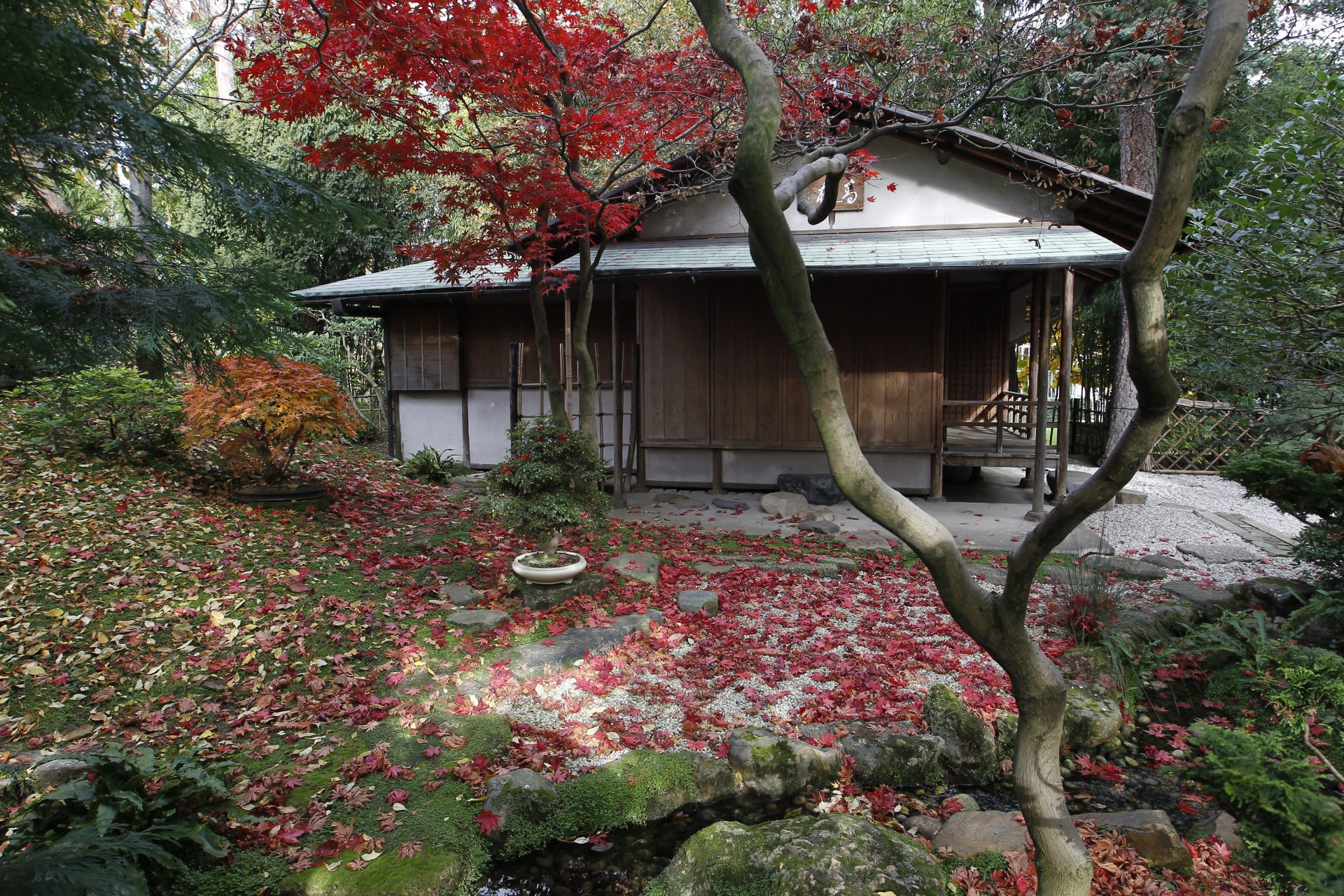 アルベール・カーン美術館の庭園（フランス、パリ）