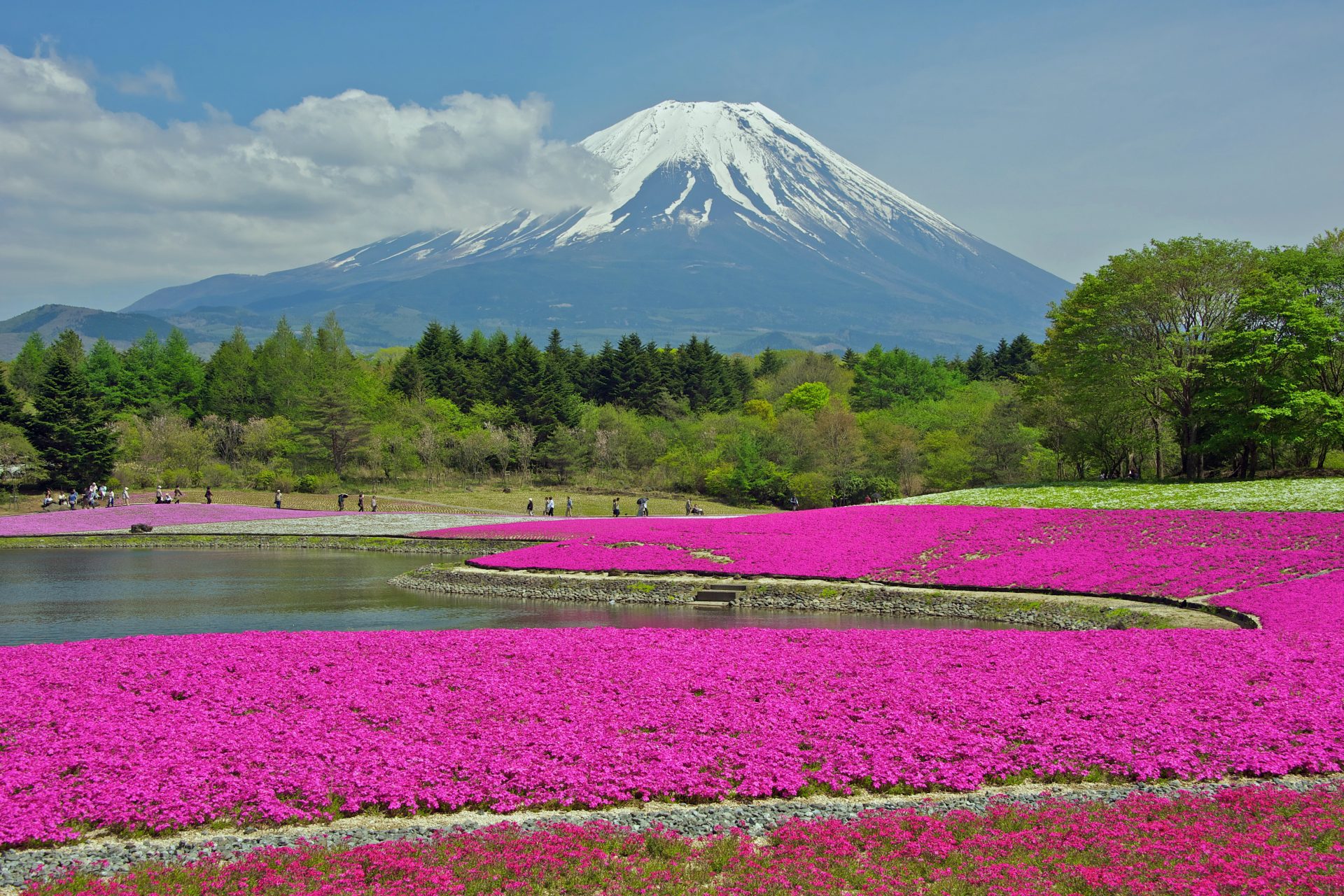 The Shizuoka routes