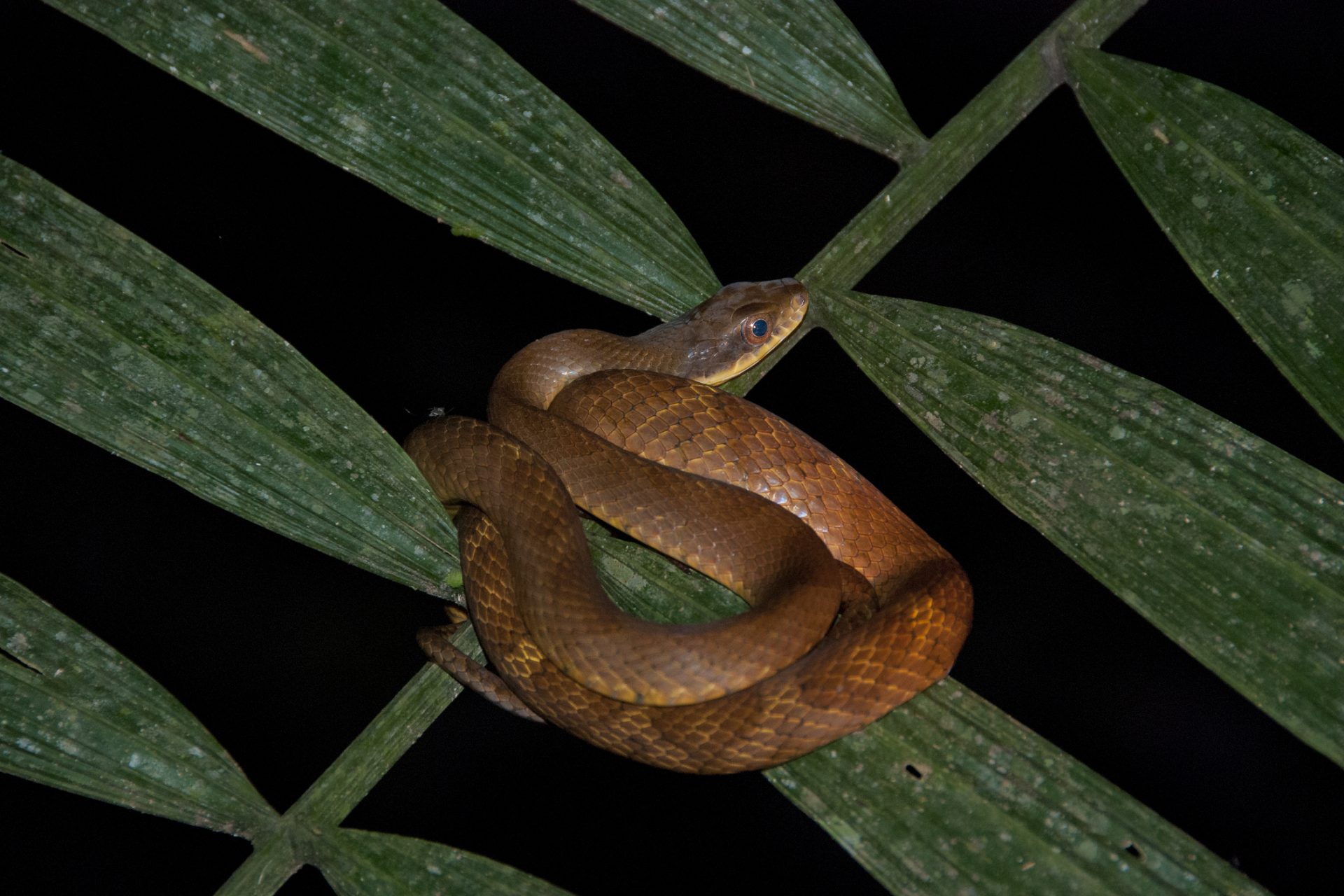 13. Parque Nacional Madidi, Bolivia