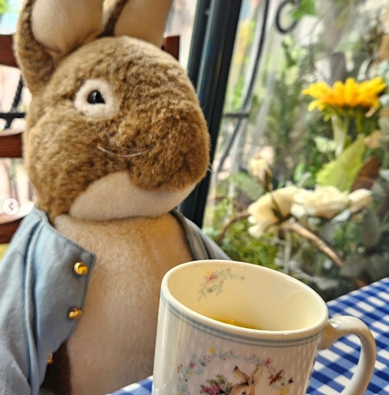 Peter Rabbit Garden Cafe