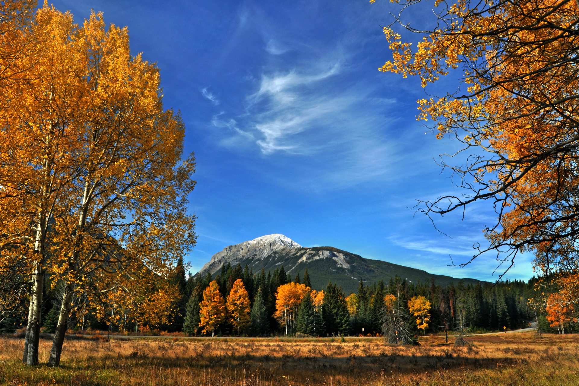 Alberta, Canadá