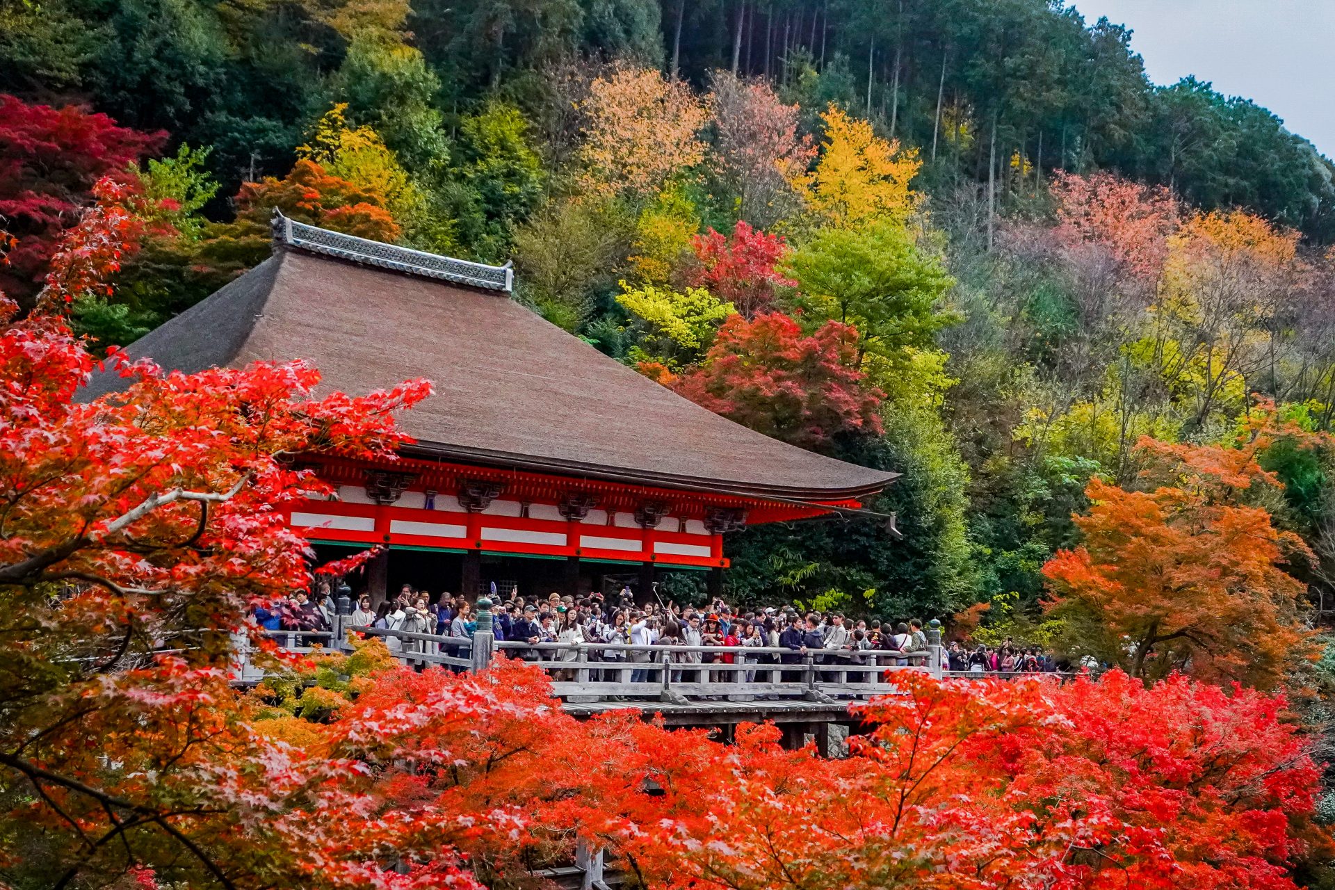 Kioto, Japón