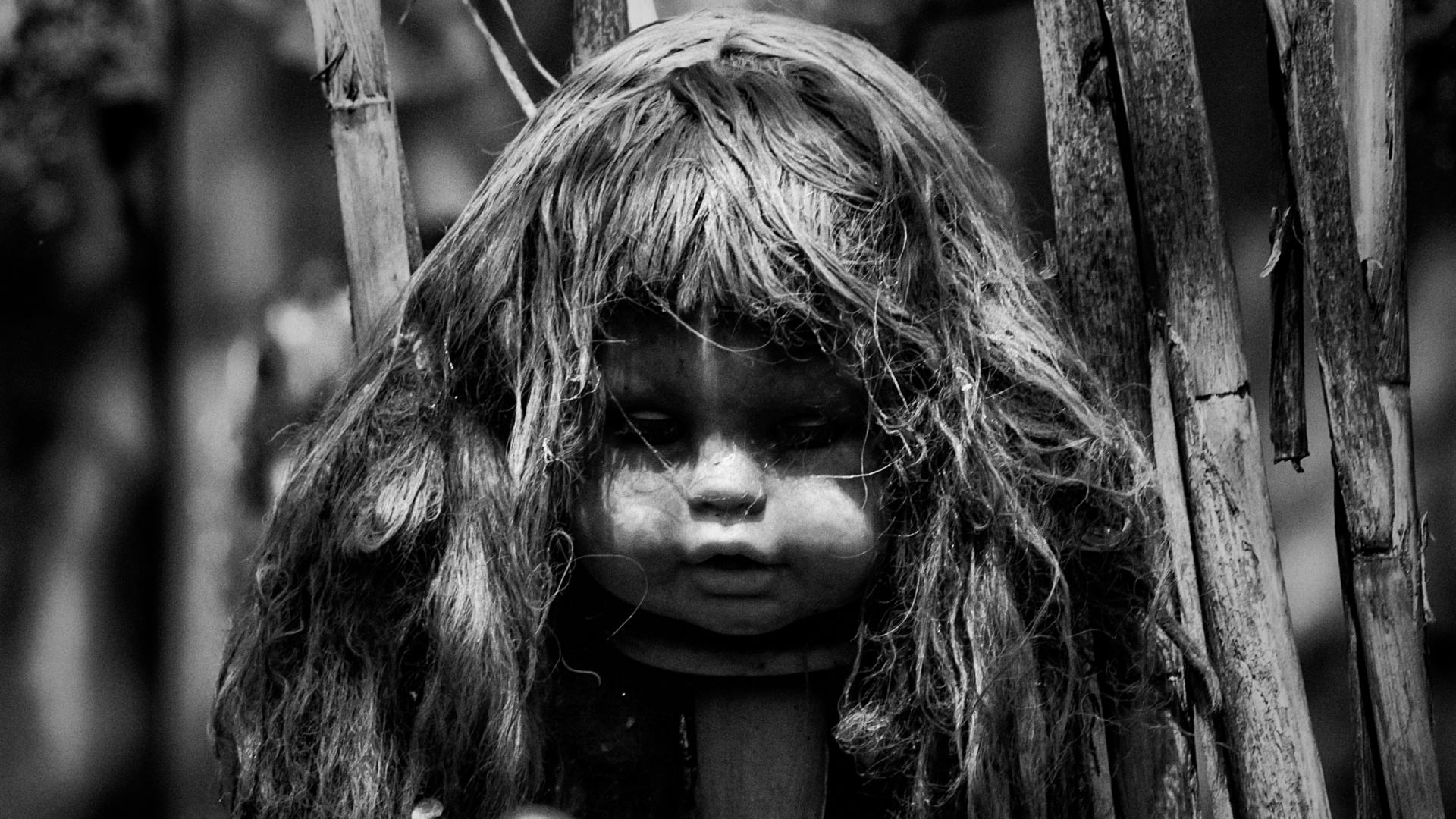 Island of the Dolls (Xochimilco, Mexico)