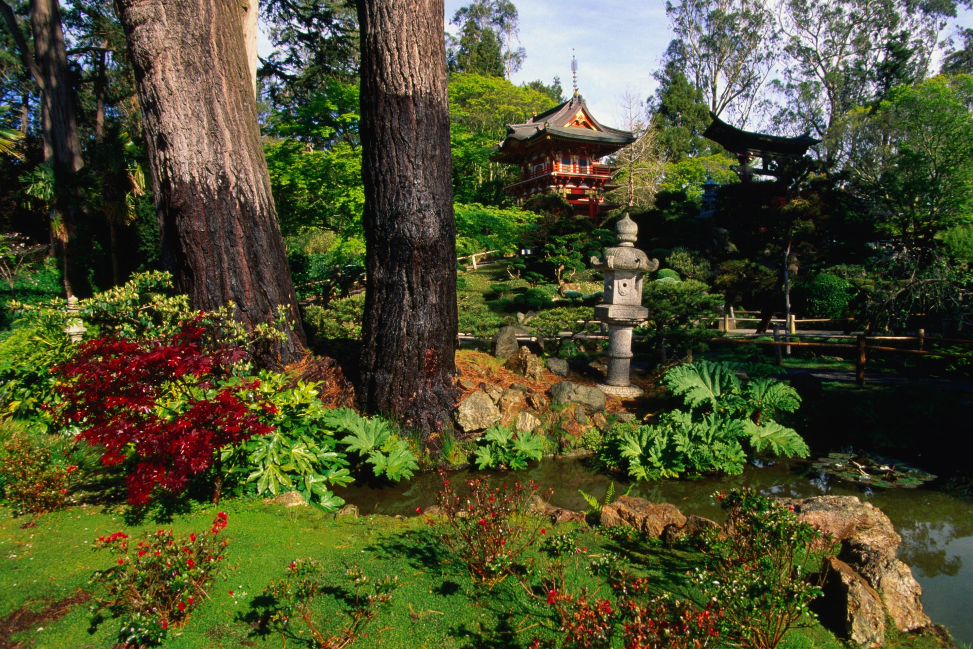 Les plus beaux jardins japonais à découvrir à travers le monde