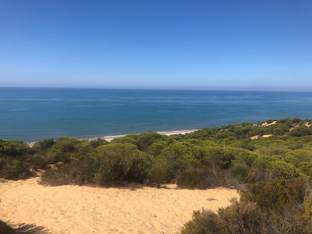 Der Naturschutzpark Doñana ist ein Ritt wert 