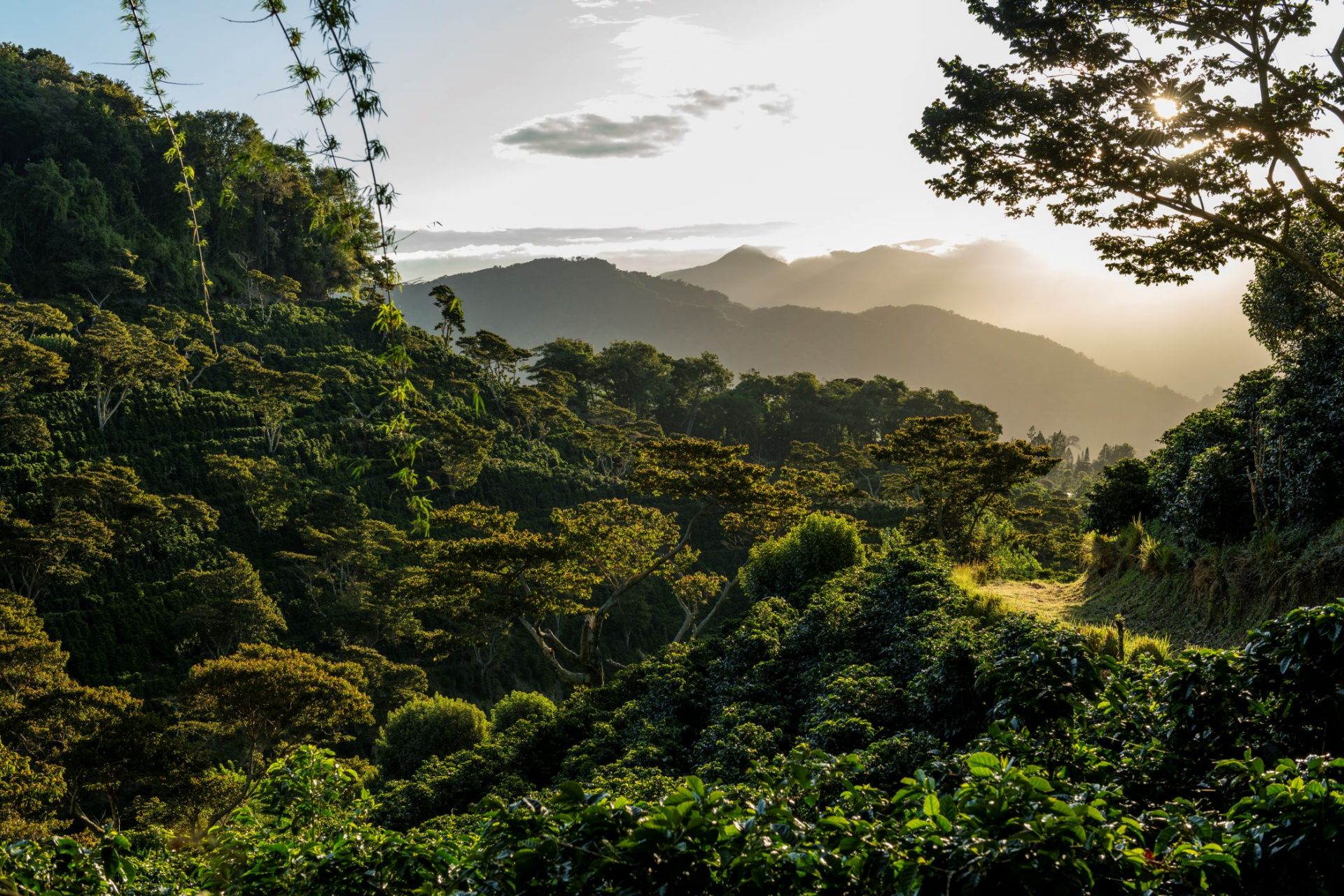 Chiriquí, Panama