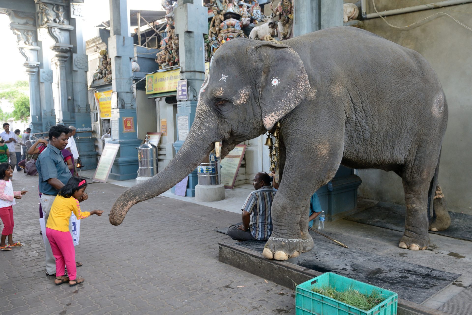 Pondicherry, India