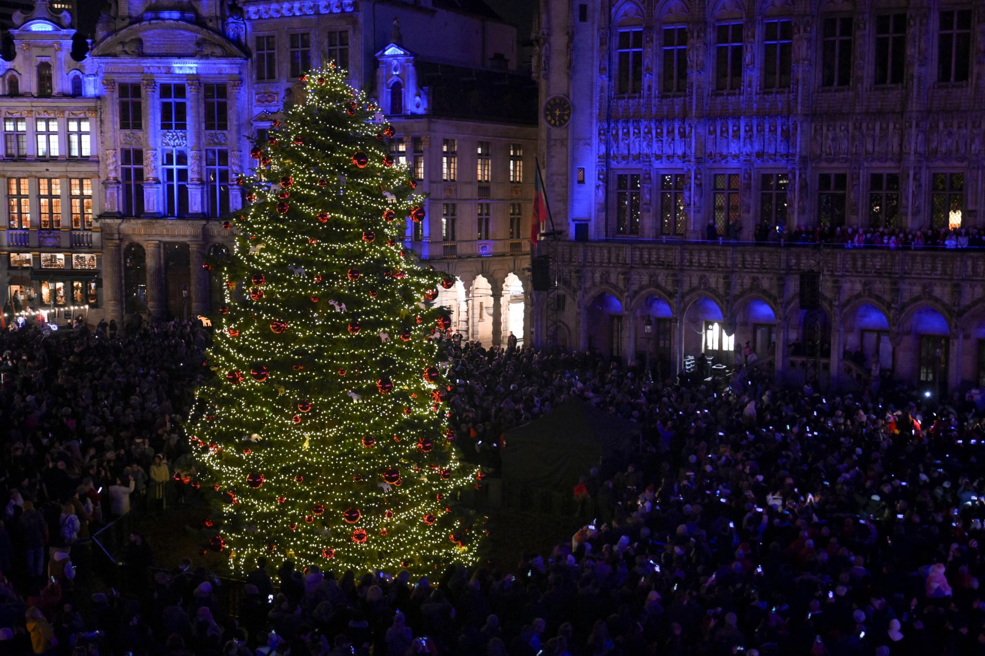 Brussels (Belgium)