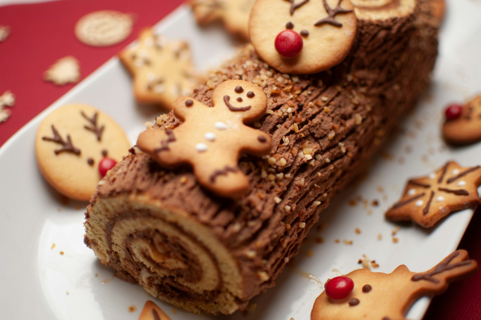 Bûche de Noël – France