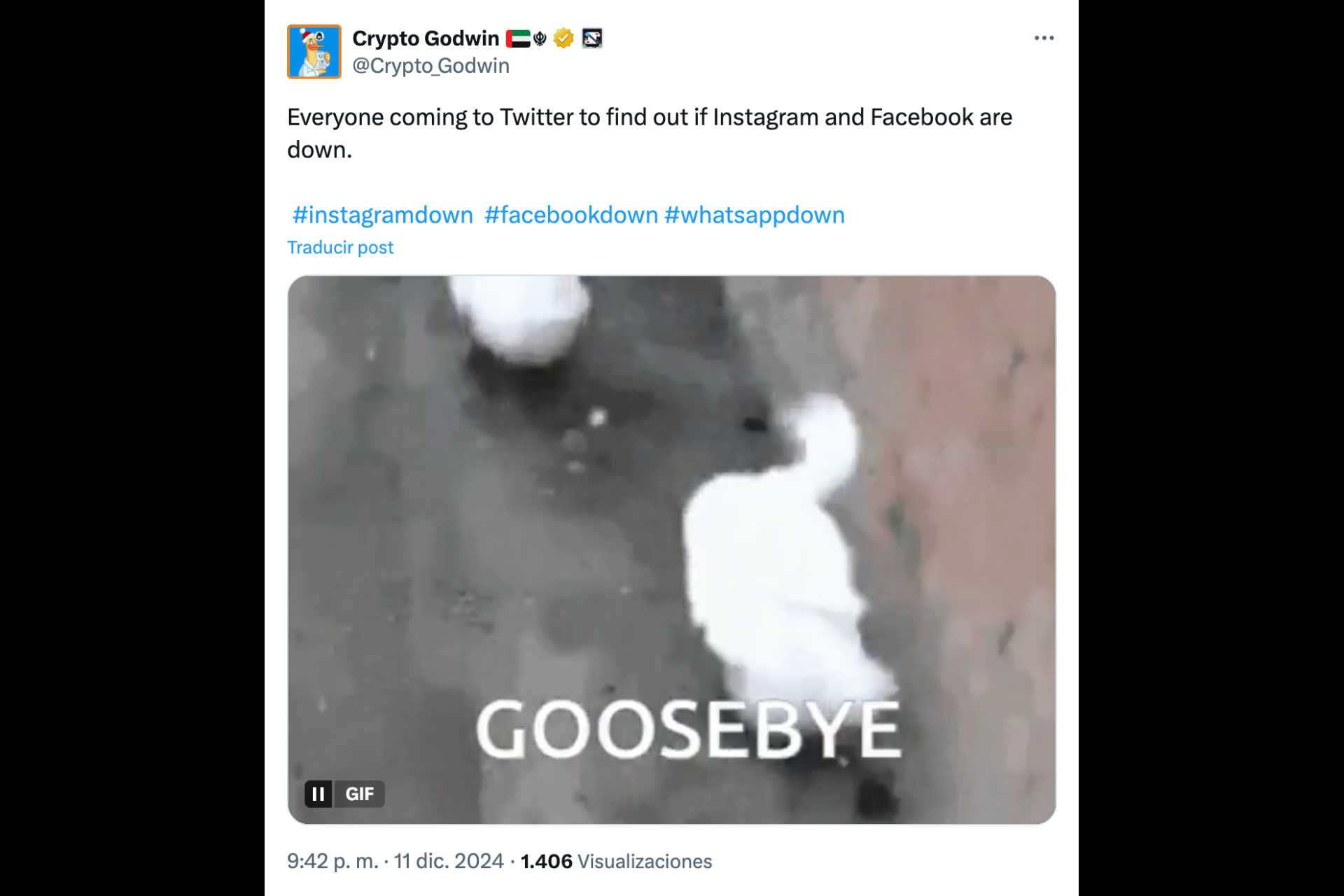 Goosebye