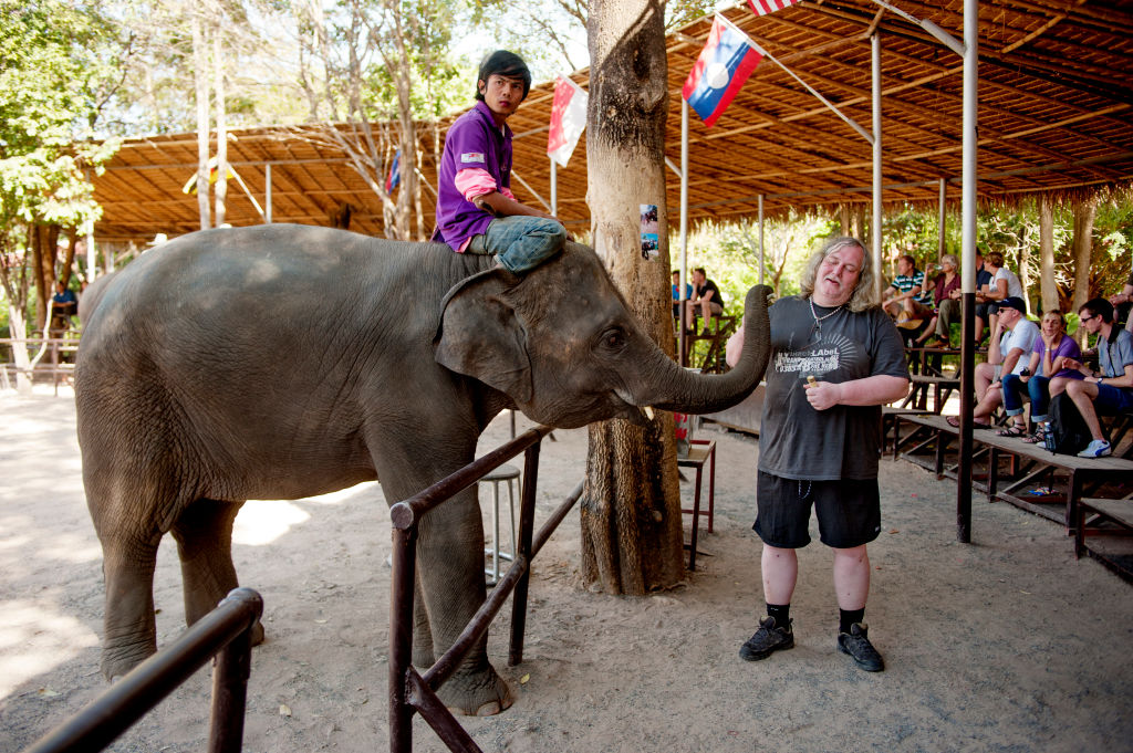 Une personne est tuée en moyenne pour chaque éléphant mâle détenu en captivité