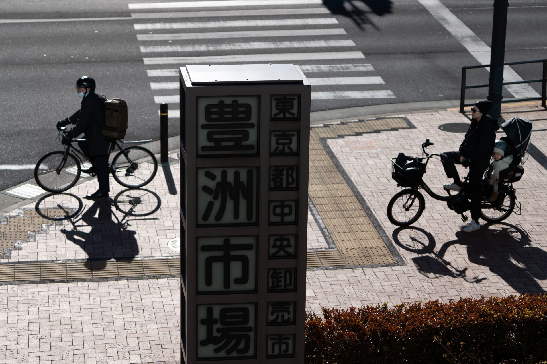 アクセスもよく、広々とした豊洲市場