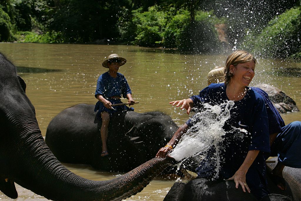 Thaïlande : méfiez-vous des faux sanctuaires d'éléphants qui mettent en danger les animaux et les hommes