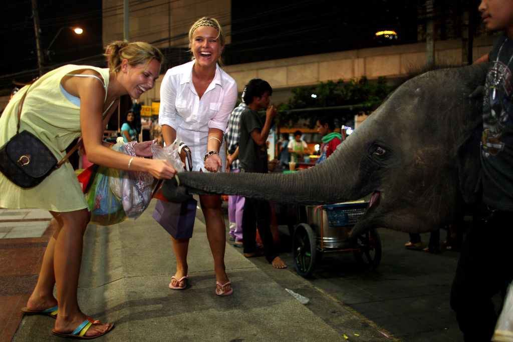 Attention au tourisme animalier