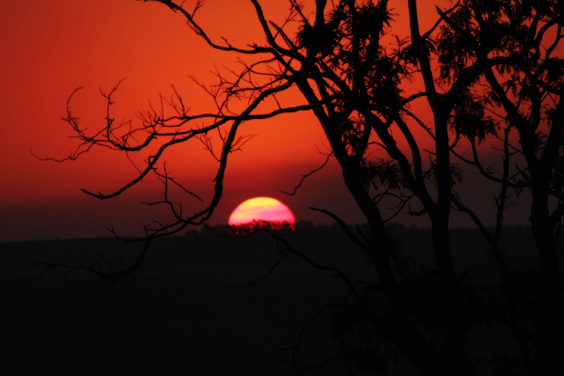 O pôr do sol no parque