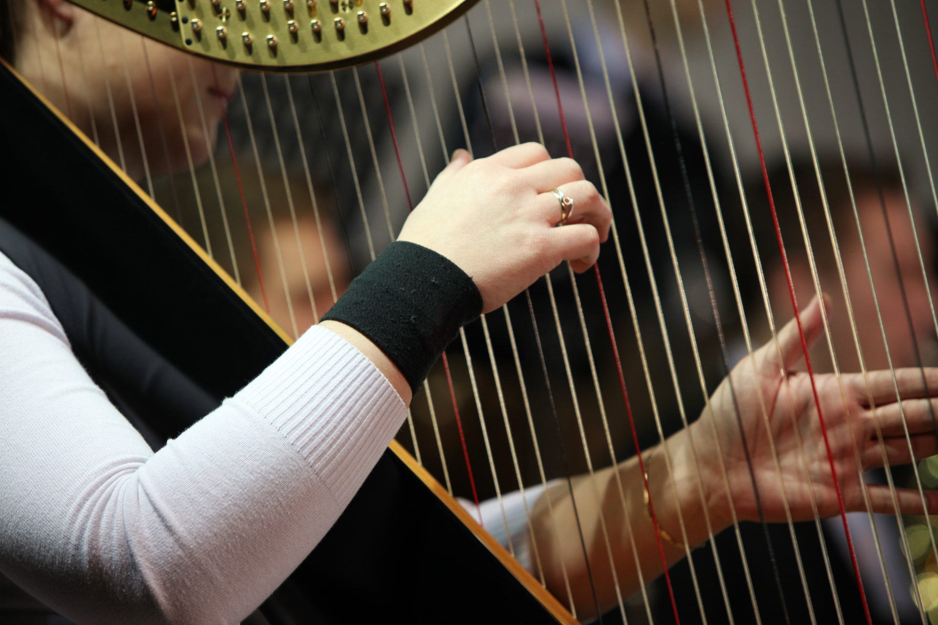 Les cordes pincées