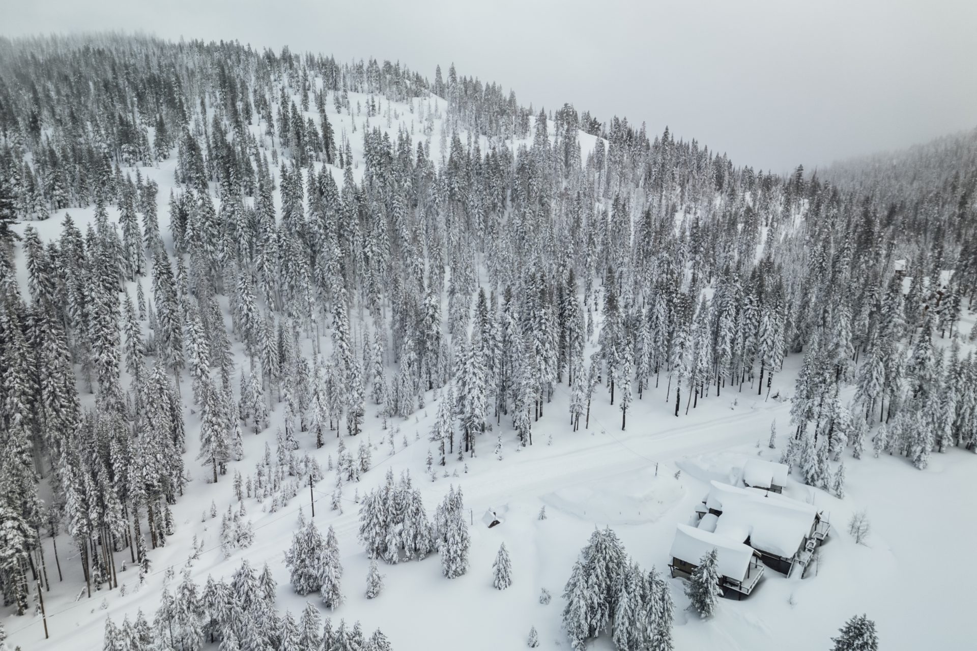 Tempête de neige