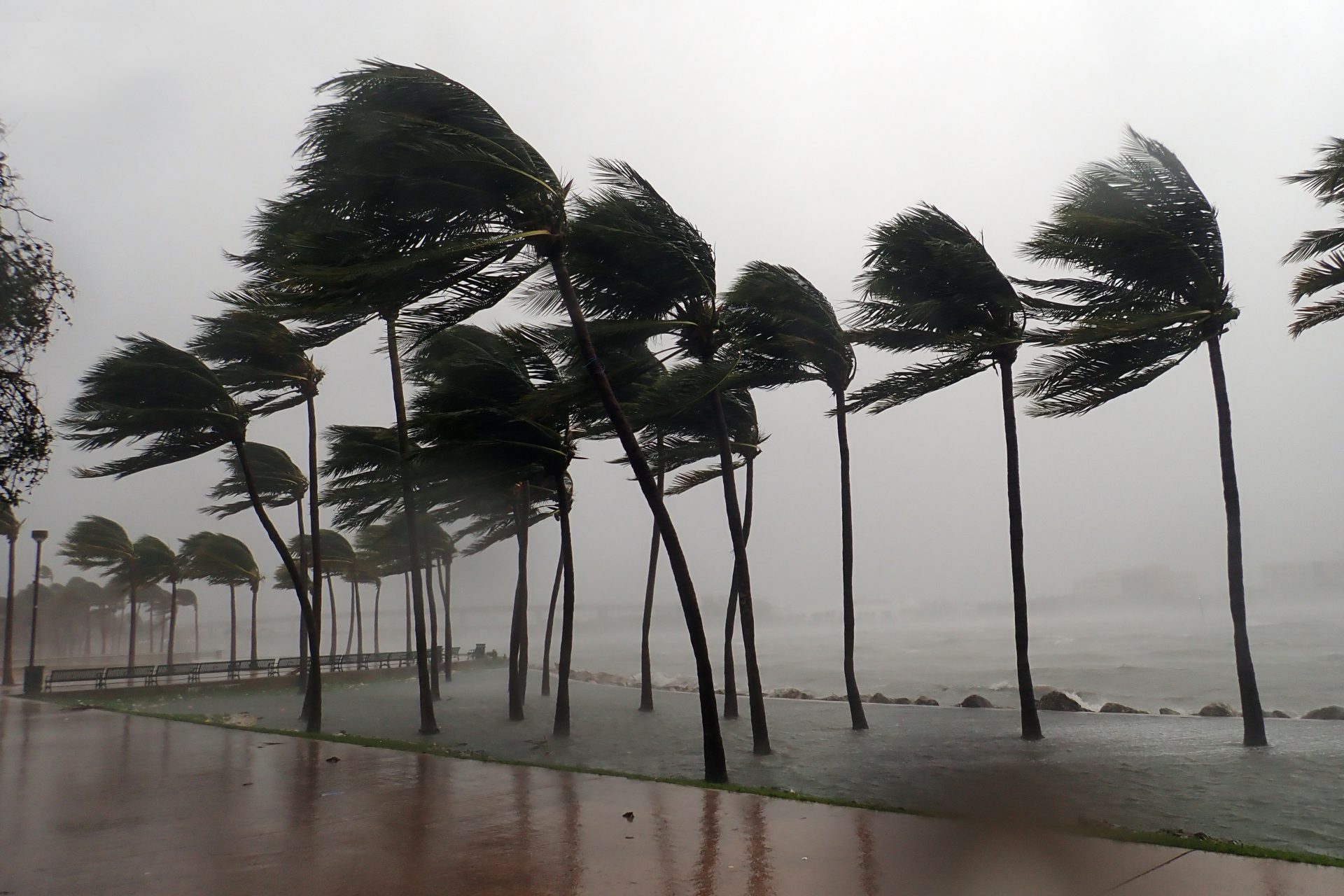 Tempête tropicale